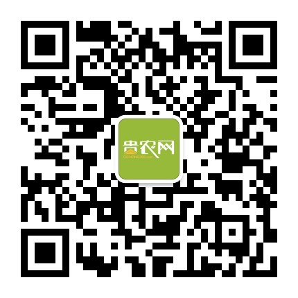 貴農(nóng)網(wǎng)的微信公眾號二維碼
